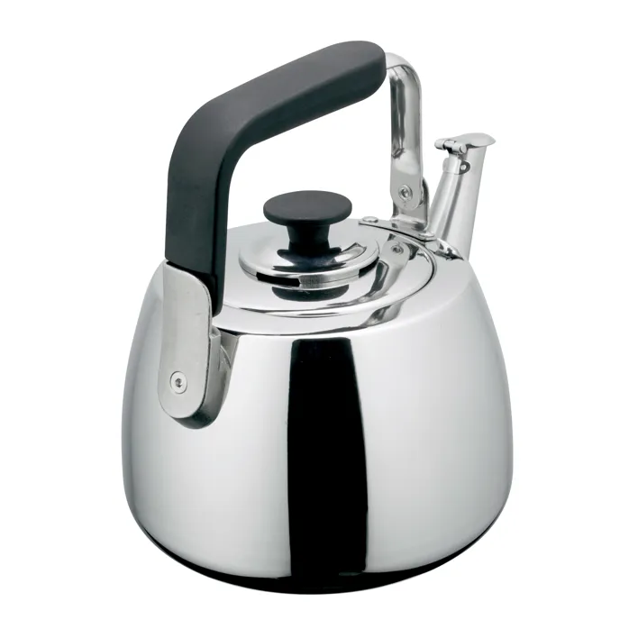 Aesthetic Matte Color Kettle view 3