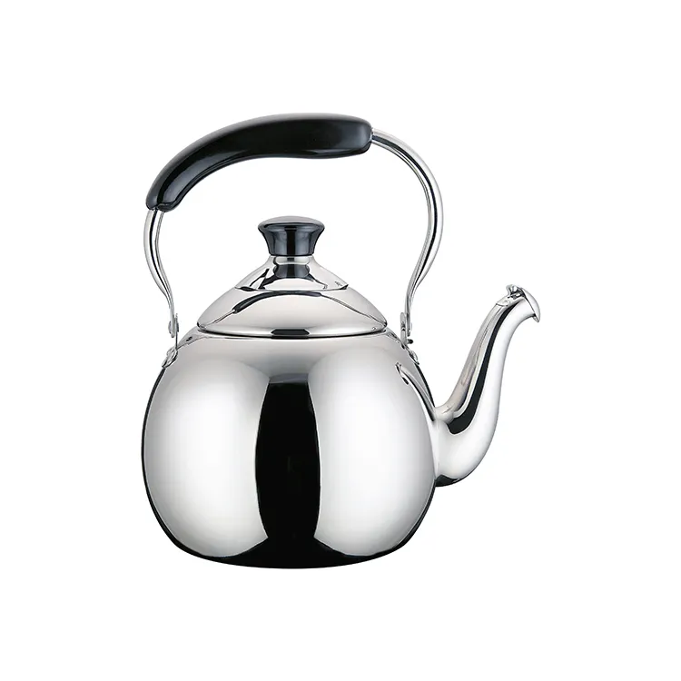 Drip-Free Mirror Kettle view 2